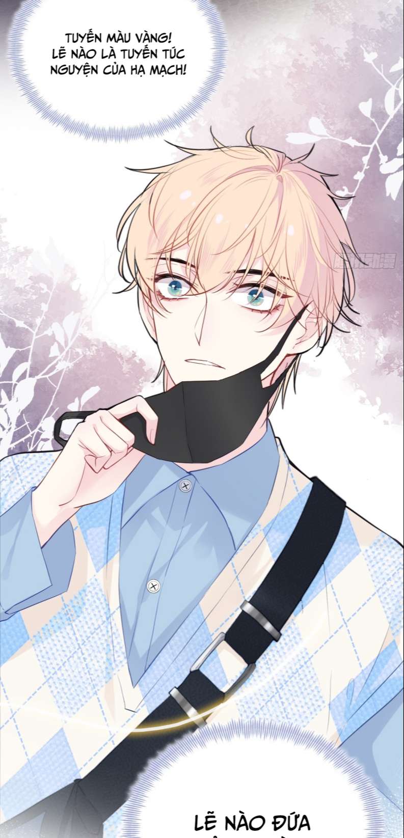 Anh Ấy Chưa Từng Rơi Xuống Chap 17 - Next Chapter 17