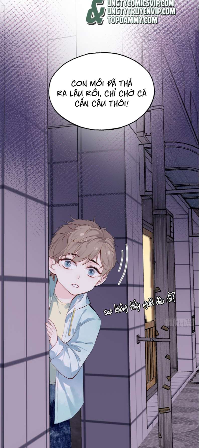 Anh Ấy Chưa Từng Rơi Xuống Chap 17 - Next Chapter 17