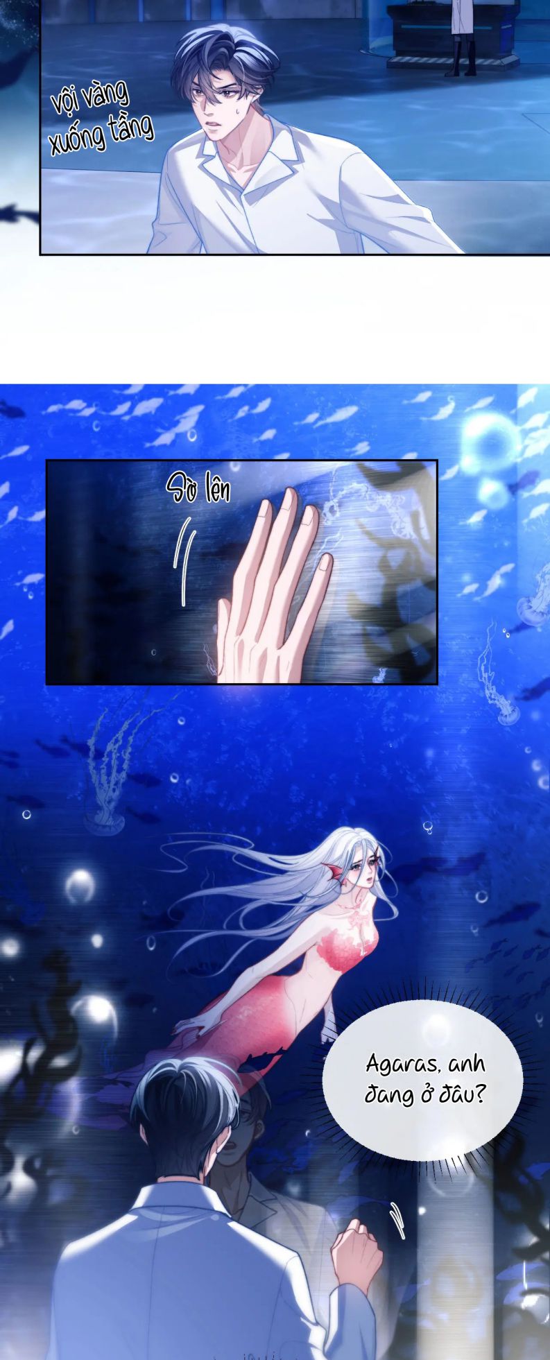 Desharow Nhân Ngư Chapter 12 - Next Chap 12