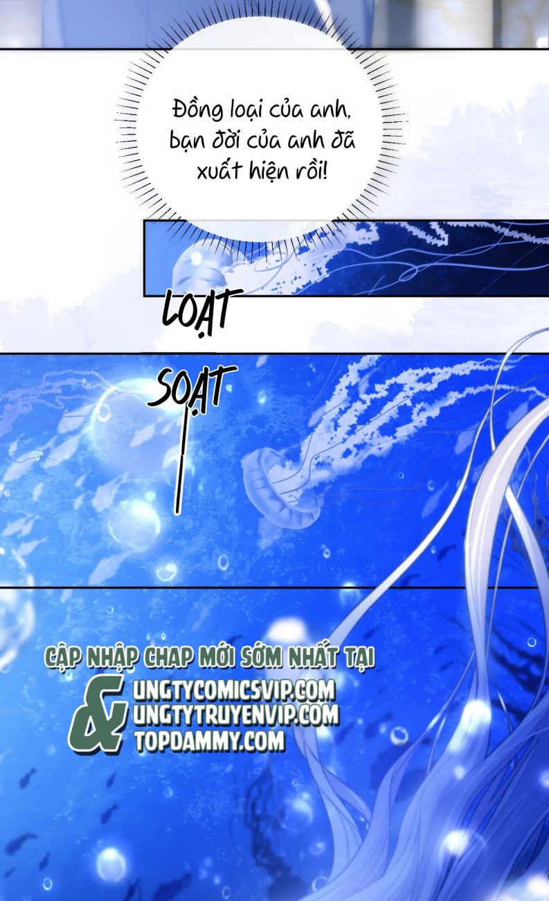 Desharow Nhân Ngư Chapter 12 - Next Chap 12