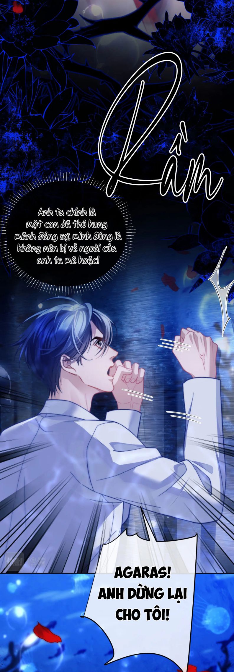 Desharow Nhân Ngư Chapter 12 - Next Chap 12