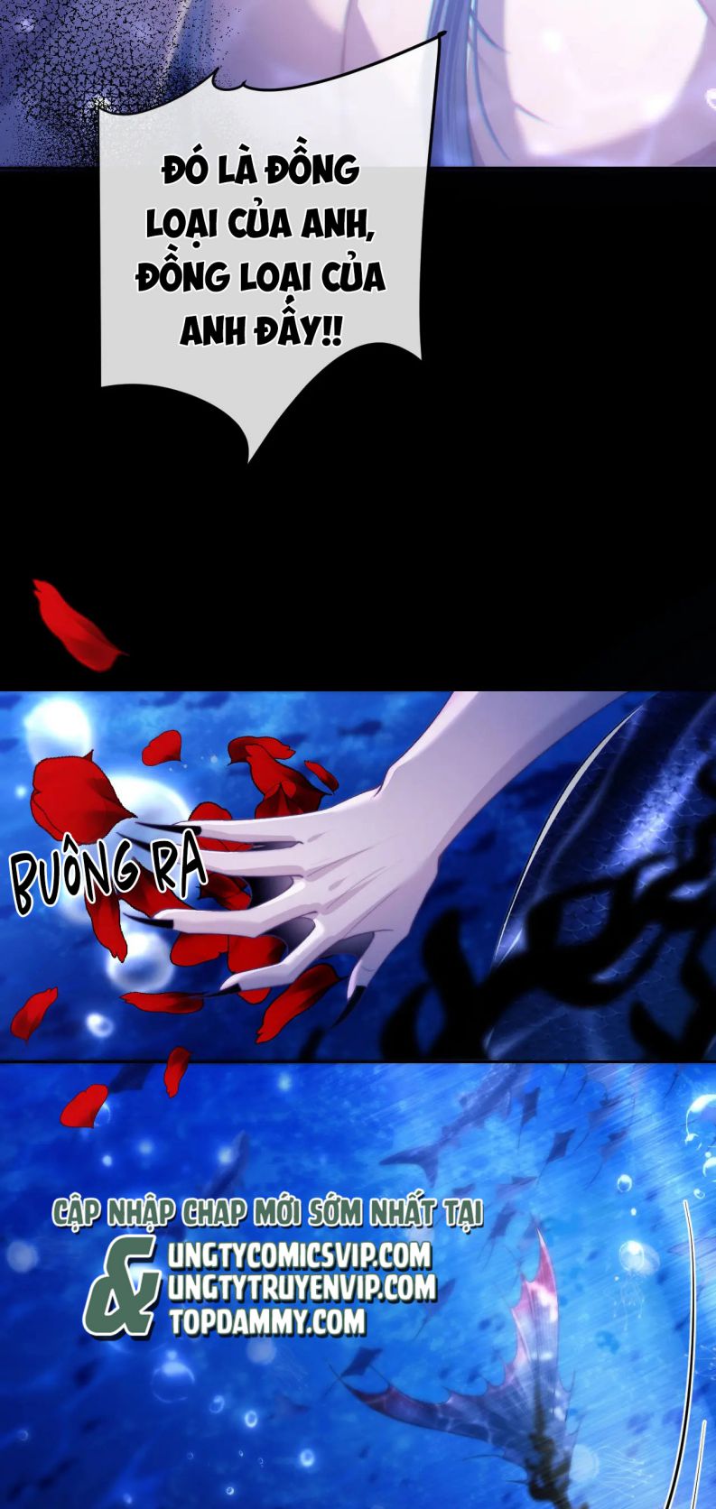 Desharow Nhân Ngư Chapter 12 - Next Chap 12