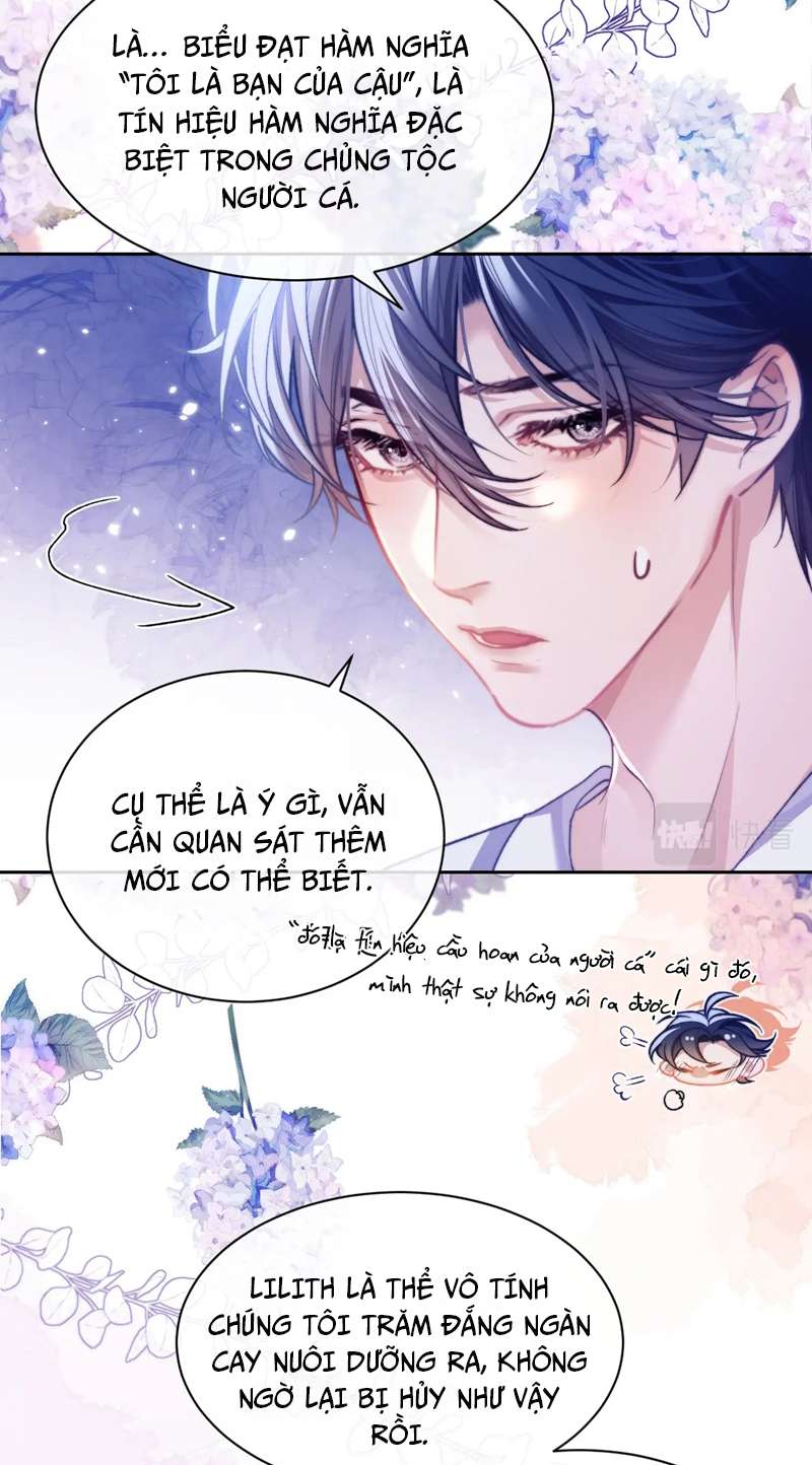 Desharow Nhân Ngư Chapter 13 - Next Chap 13
