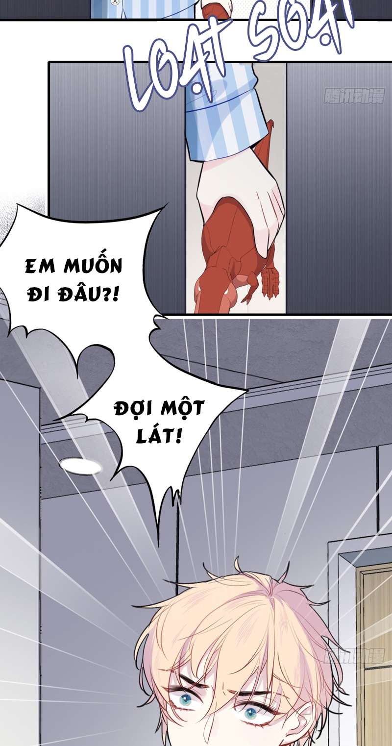 Anh Ấy Chưa Từng Rơi Xuống Chap 20 - Next Chapter 20