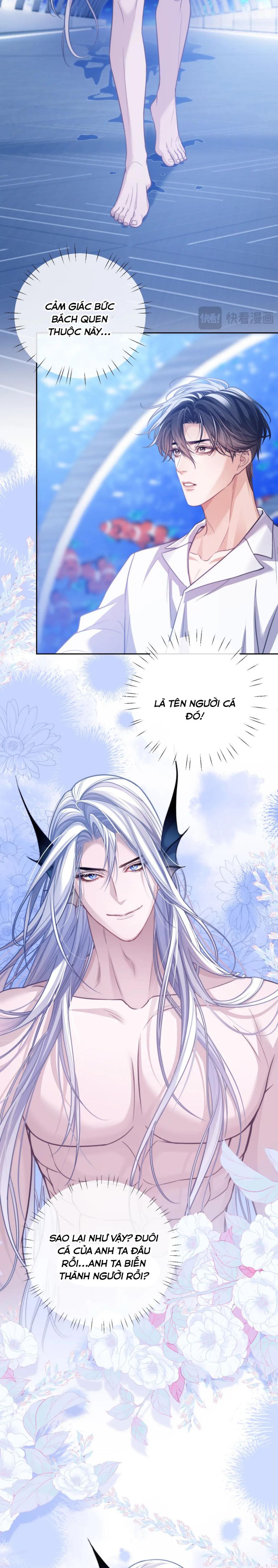 Desharow Nhân Ngư Chapter 18 - Next Chapter 19