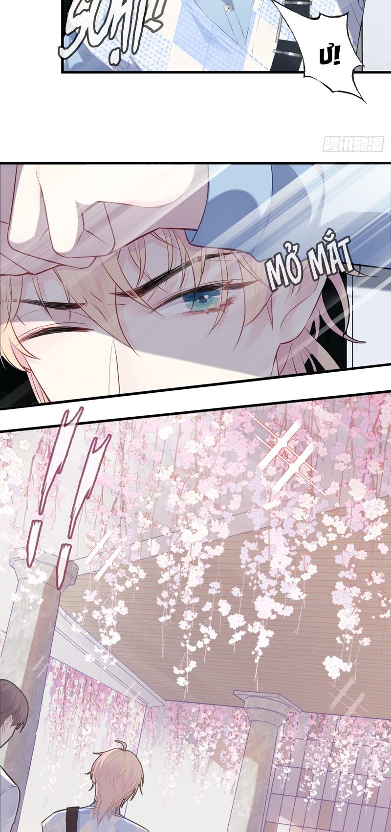 Anh Ấy Chưa Từng Rơi Xuống Chapter 31 - Next Chap 31