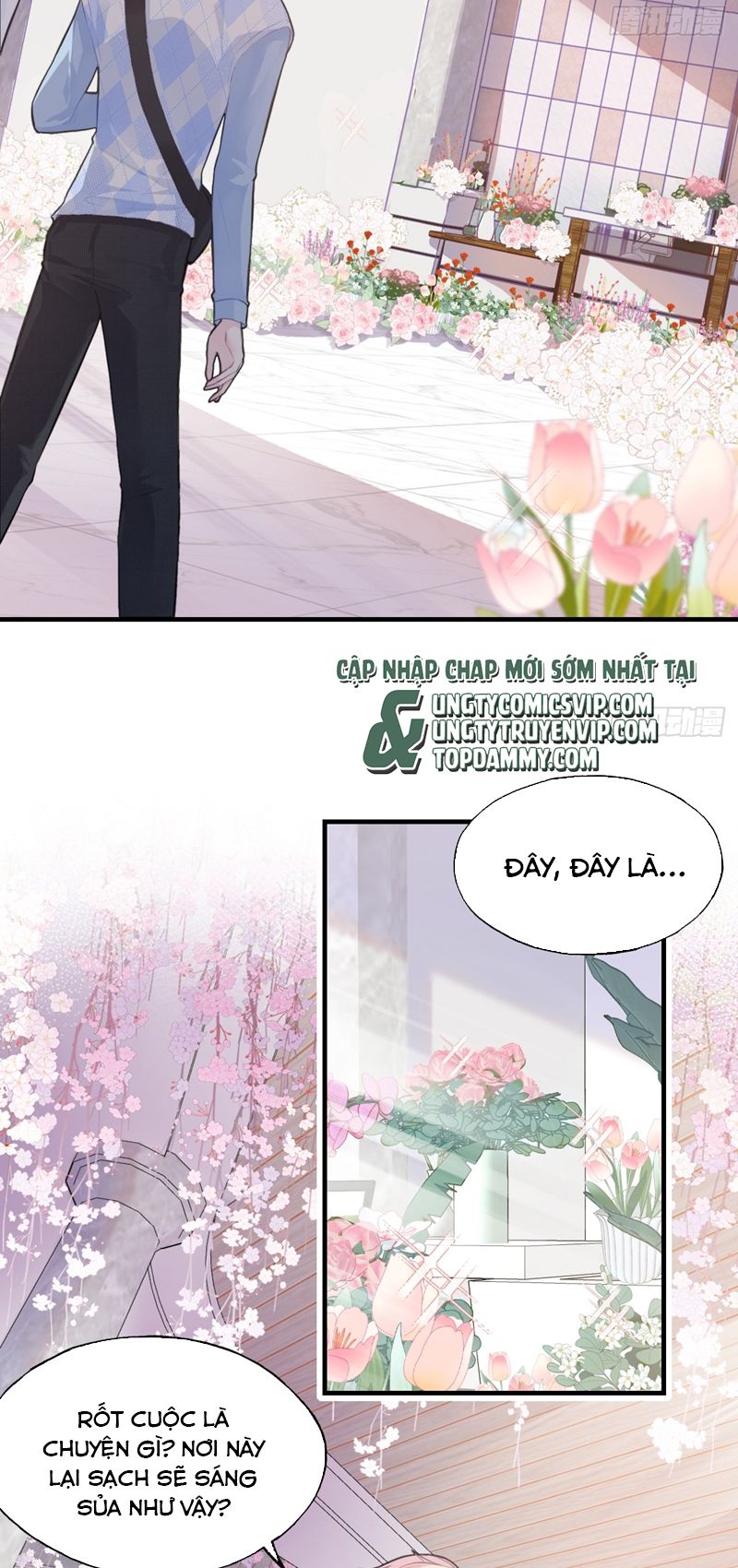 Anh Ấy Chưa Từng Rơi Xuống Chapter 31 - Next Chap 31