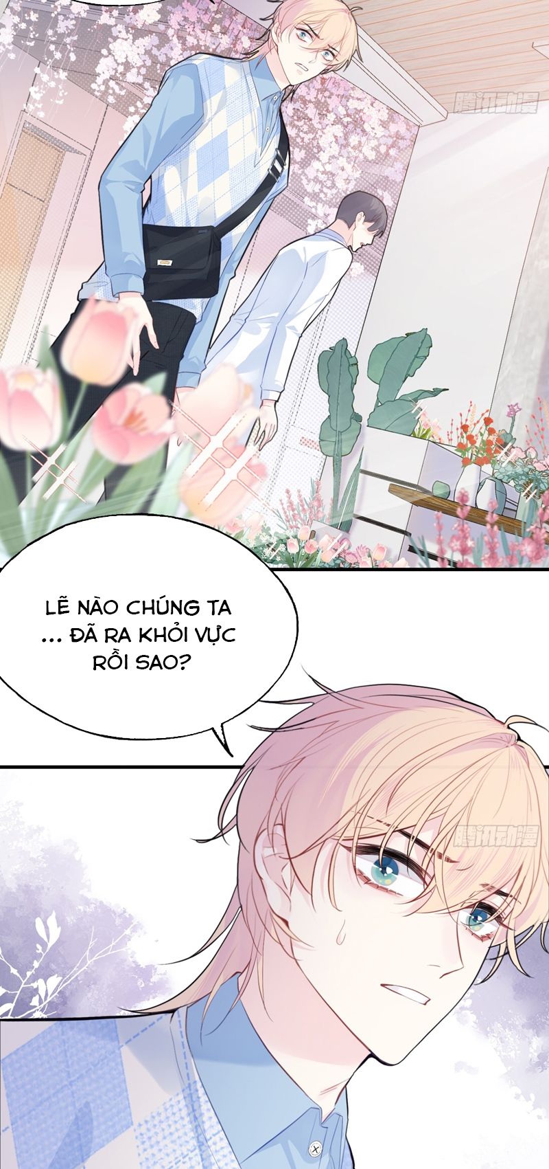 Anh Ấy Chưa Từng Rơi Xuống Chapter 31 - Next Chap 31