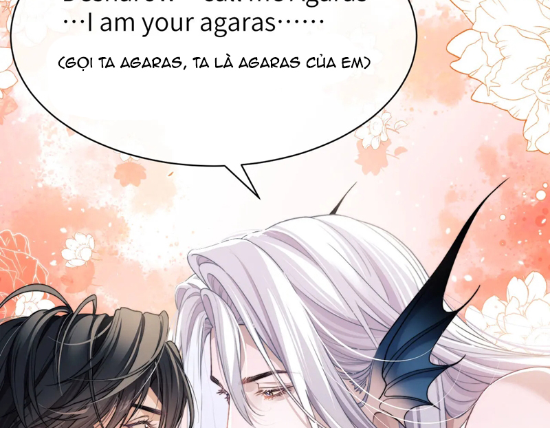 Desharow Nhân Ngư Chapter 22 - Next Chapter 23