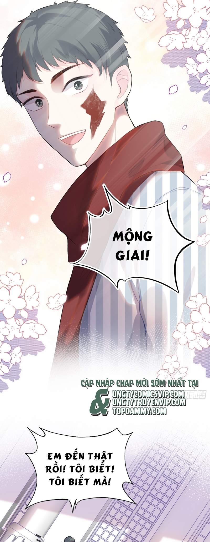 Anh Ấy Chưa Từng Rơi Xuống Chapter 34 - Next Chap 34