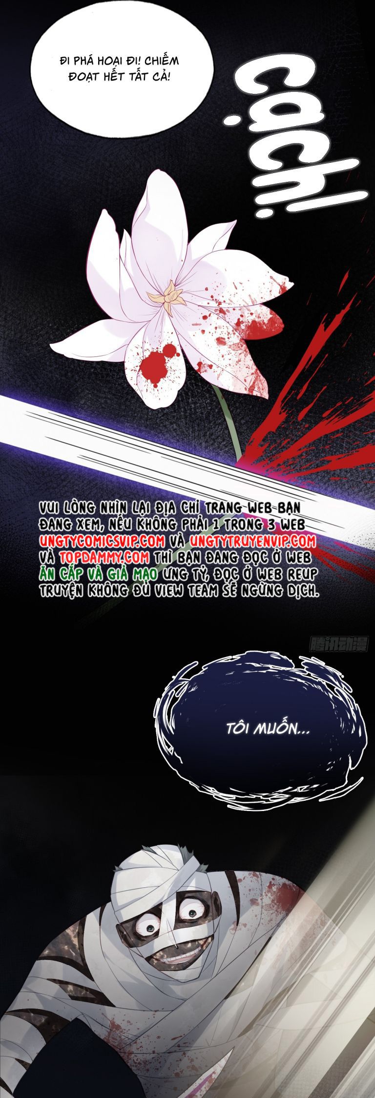Anh Ấy Chưa Từng Rơi Xuống Chapter 36 - Next Chap 36