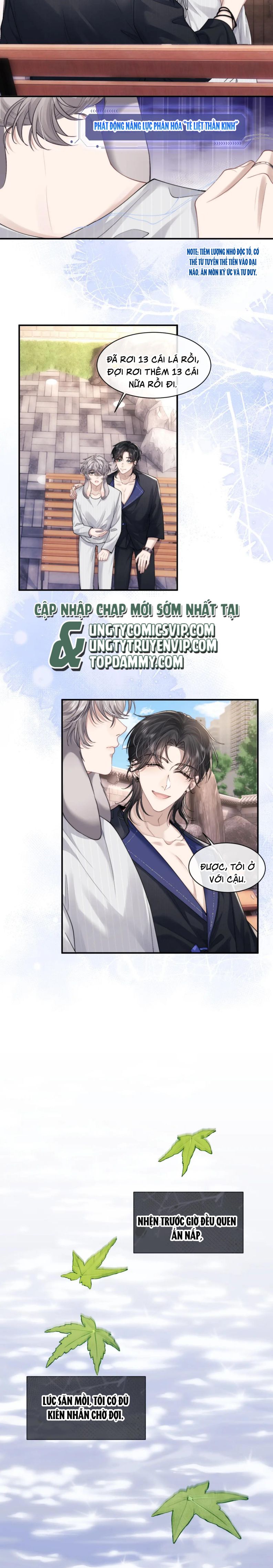 Chấp Sự Thỏ Cụp Tai Chapter 72 - Next Chapter 73