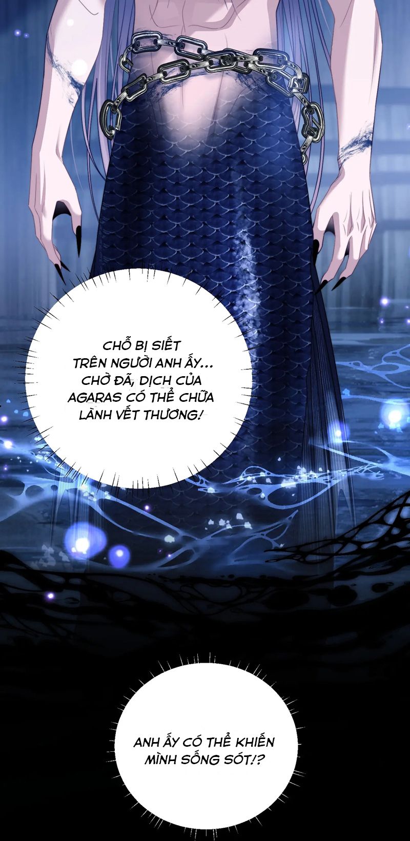 Desharow Nhân Ngư Chapter 25 - Next Chapter 26