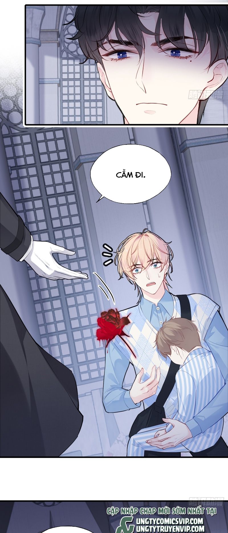 Anh Ấy Chưa Từng Rơi Xuống Chapter 38 - Next Chap 38