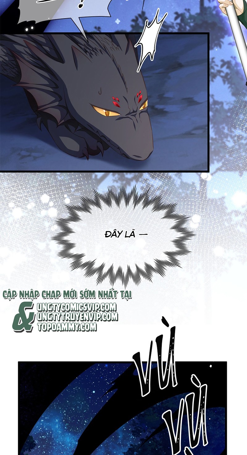 Tôi Trùng Sinh Trở Thành Tiểu Ác Long Của Vương Tử Điện Hạ Chapter 12 - Next Chapter 13
