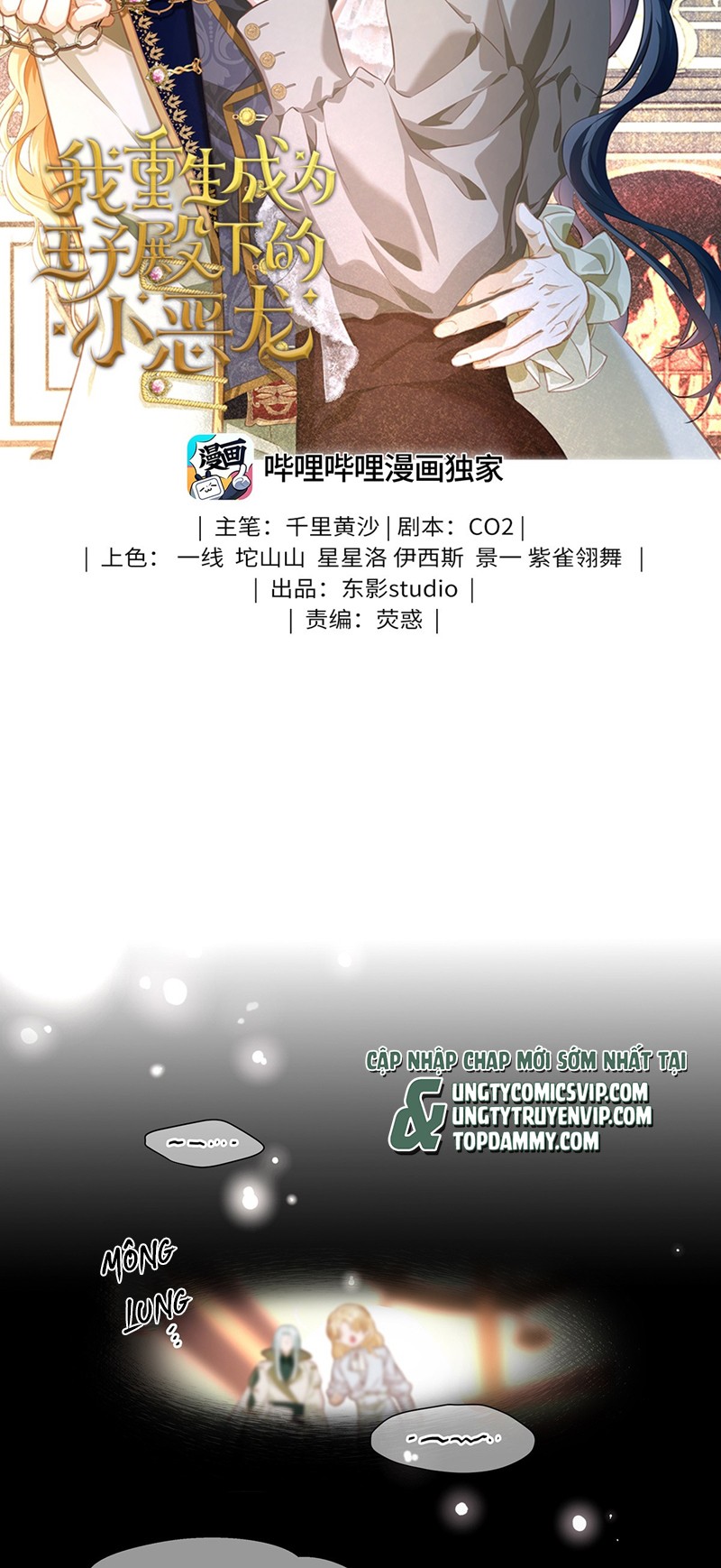 Tôi Trùng Sinh Trở Thành Tiểu Ác Long Của Vương Tử Điện Hạ Chapter 12 - Next Chapter 13
