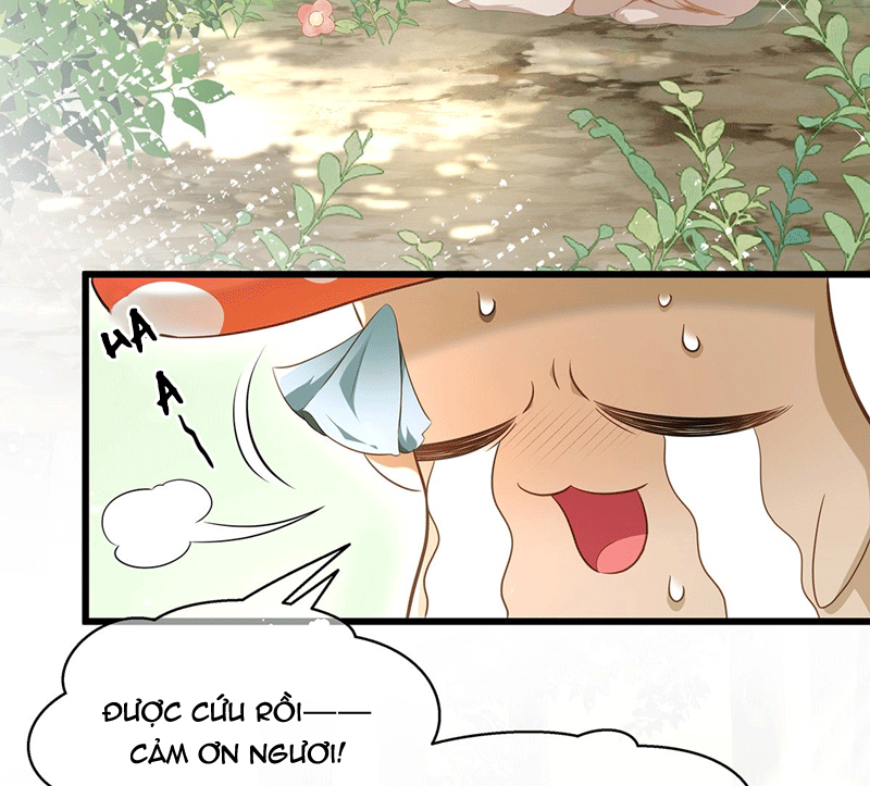 Tôi Trùng Sinh Trở Thành Tiểu Ác Long Của Vương Tử Điện Hạ Chapter 15 - Next Chapter 16