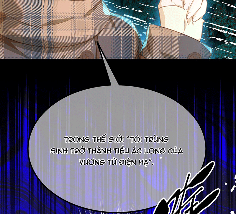 Tôi Trùng Sinh Trở Thành Tiểu Ác Long Của Vương Tử Điện Hạ Chapter 15 - Next Chapter 16