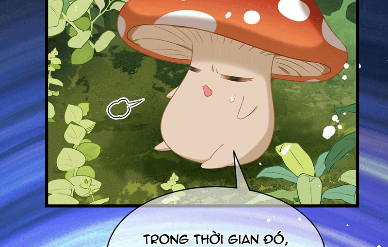 Tôi Trùng Sinh Trở Thành Tiểu Ác Long Của Vương Tử Điện Hạ Chapter 15 - Next Chapter 16