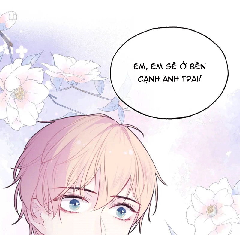 Anh Ấy Chưa Từng Rơi Xuống Chapter 45 - Next Chapter 46