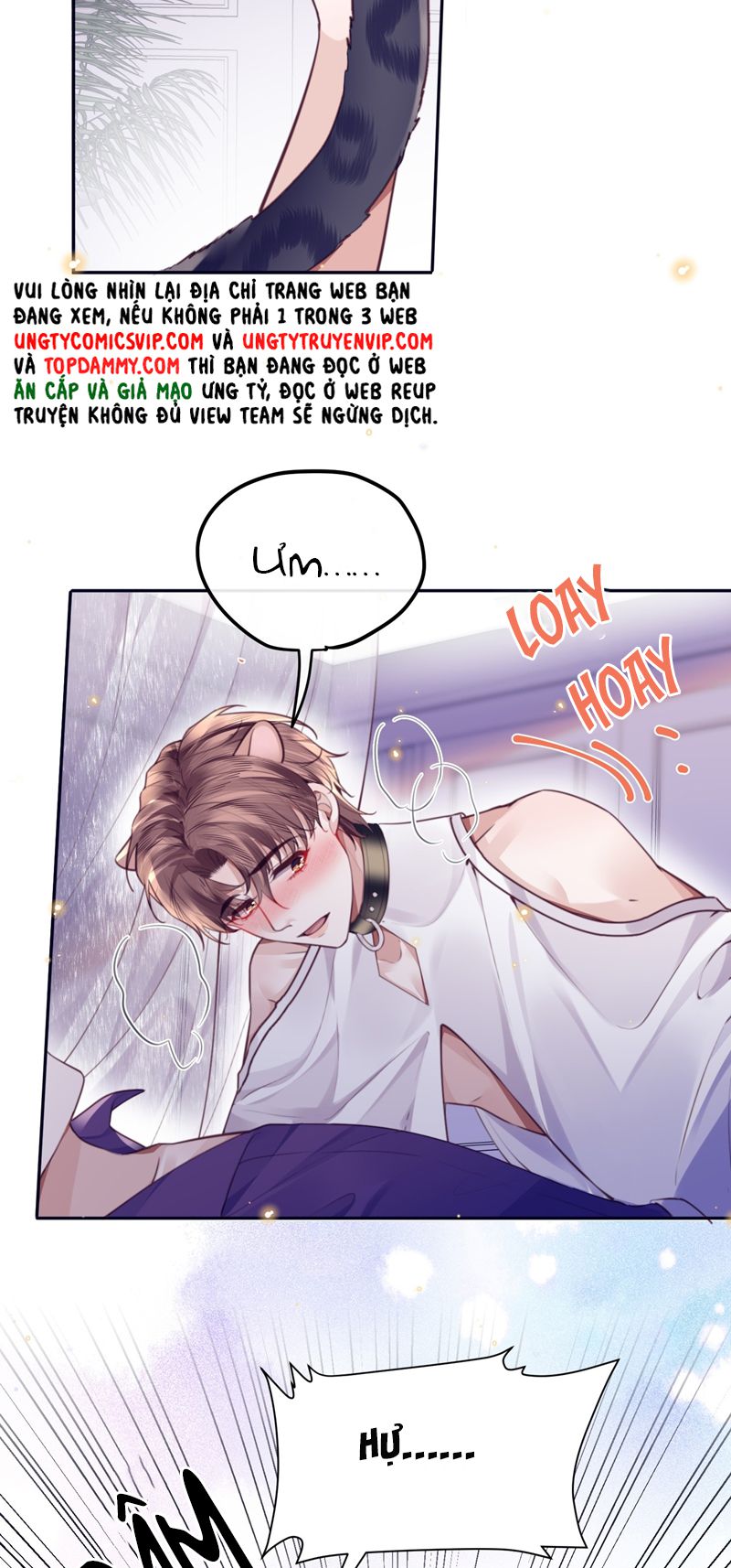 Tổng Tài Định Chế Tư Nhân Chapter 77 - Next Chapter 78
