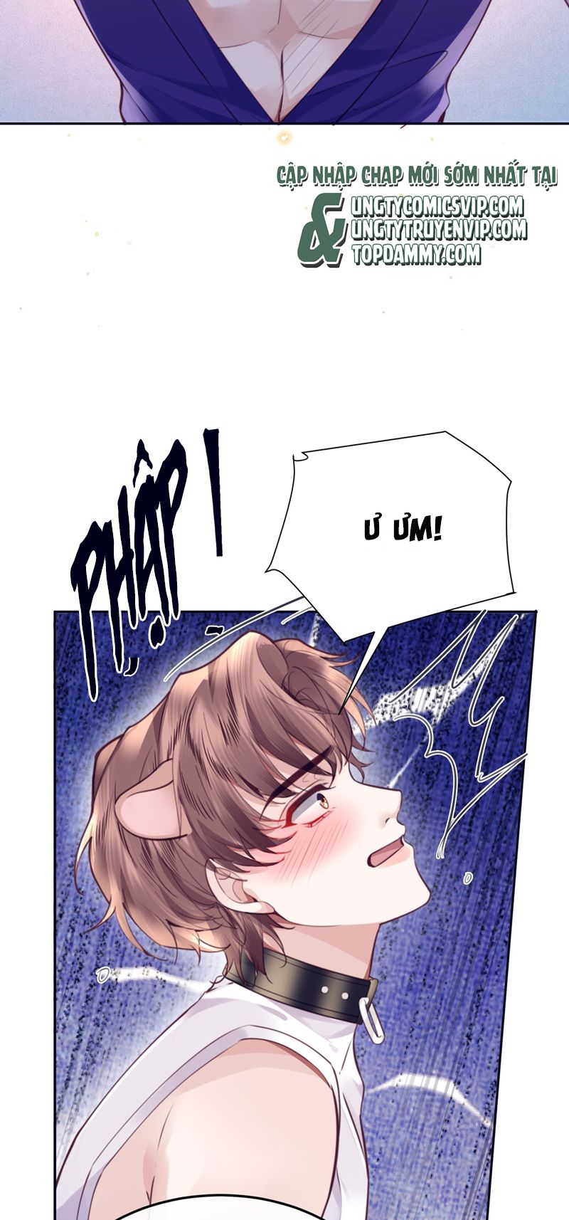 Tổng Tài Định Chế Tư Nhân Chapter 77 - Next Chapter 78