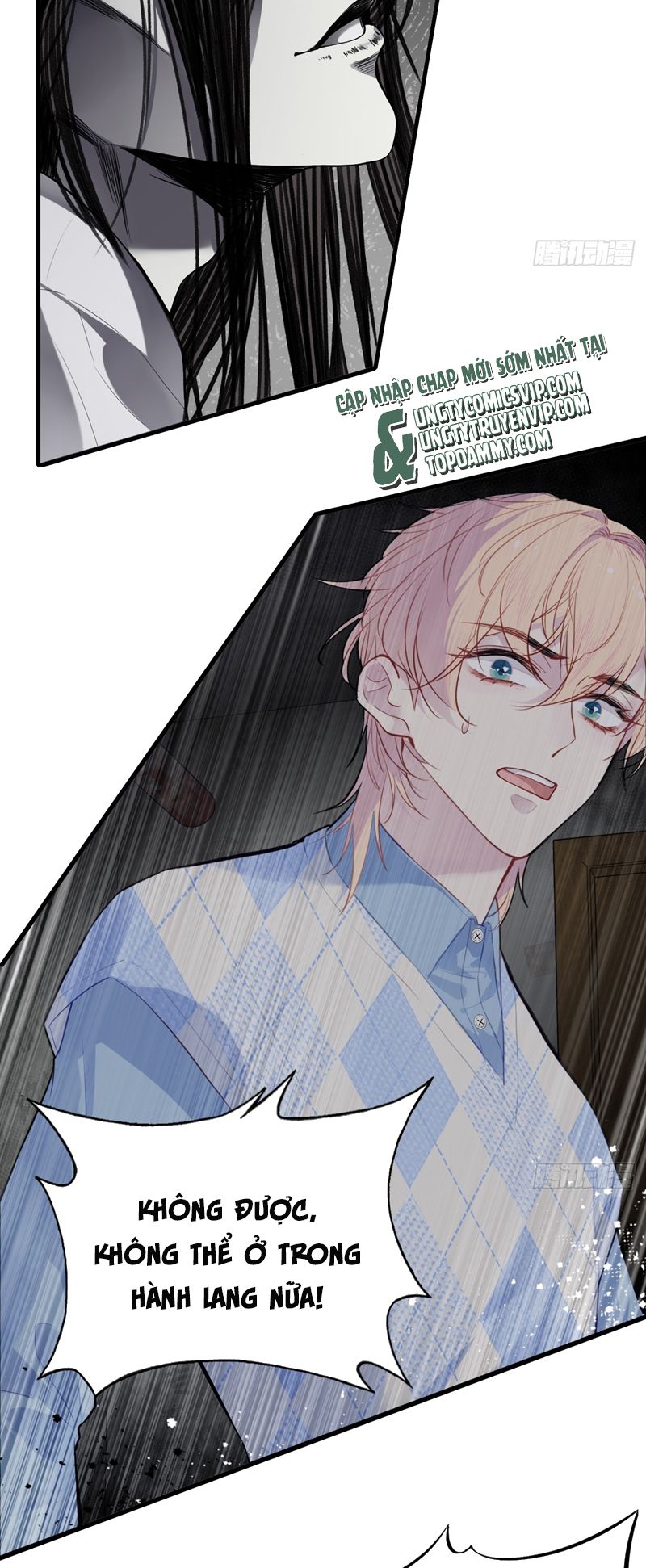 Anh Ấy Chưa Từng Rơi Xuống Chapter 50 - Next Chapter 51