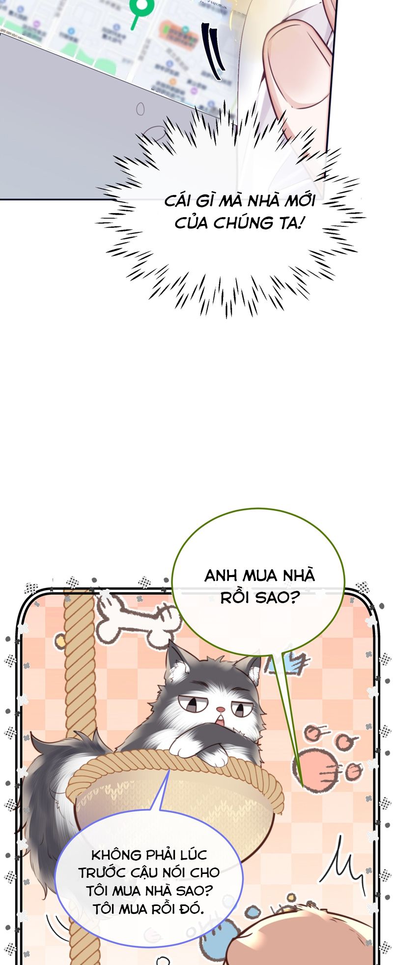 Tổng Tài Định Chế Tư Nhân Chapter 81 - Next Chapter 82