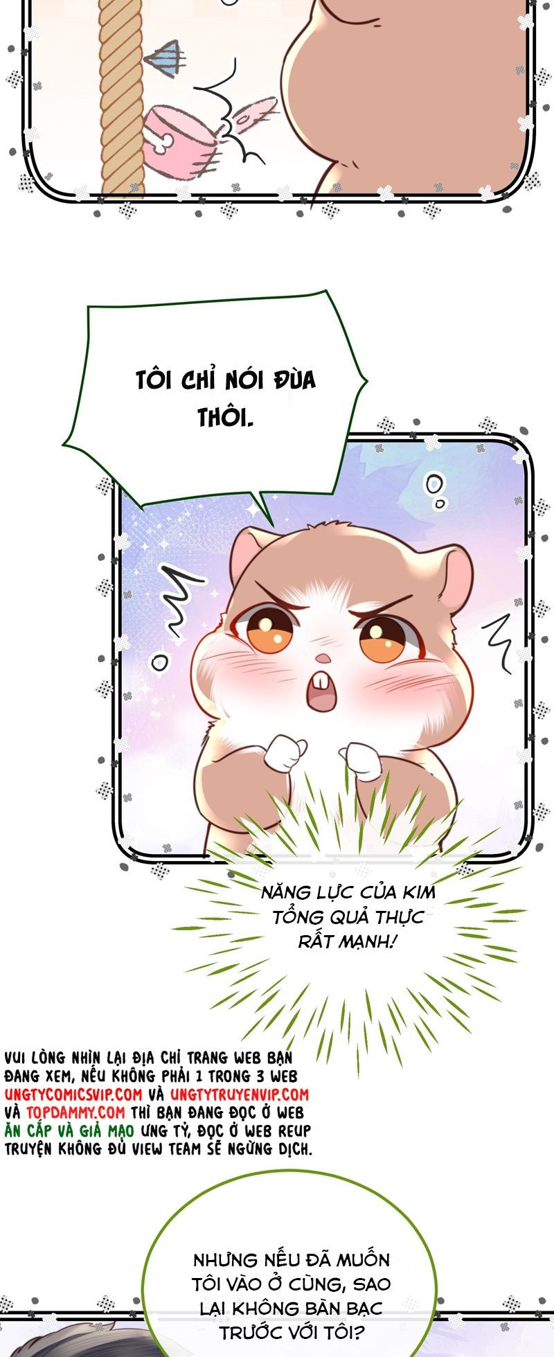 Tổng Tài Định Chế Tư Nhân Chapter 81 - Next Chapter 82