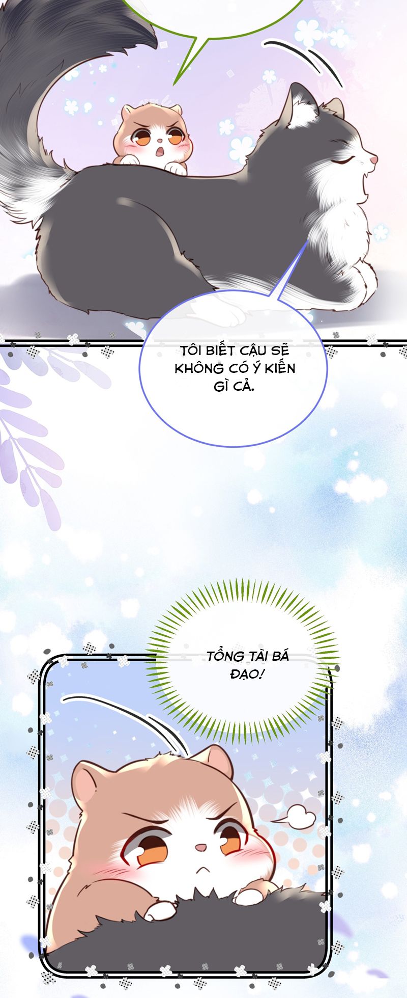 Tổng Tài Định Chế Tư Nhân Chapter 81 - Next Chapter 82