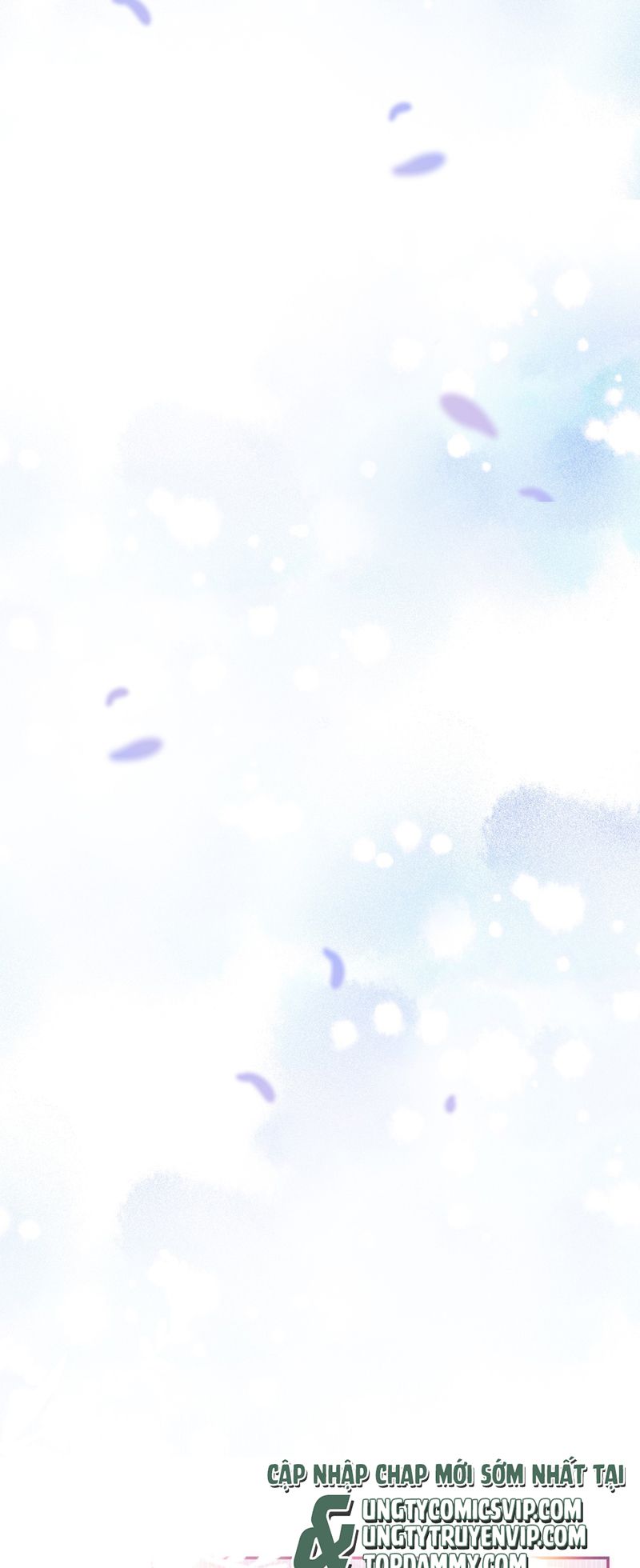 Tổng Tài Định Chế Tư Nhân Chapter 81 - Next Chapter 82