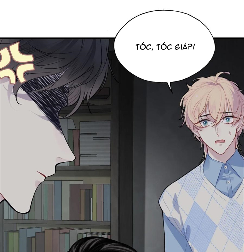 Anh Ấy Chưa Từng Rơi Xuống Chap 52 - Next Chap 53