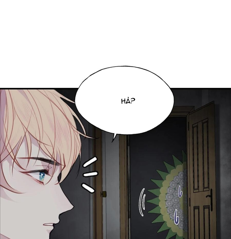 Anh Ấy Chưa Từng Rơi Xuống Chap 52 - Next Chap 53