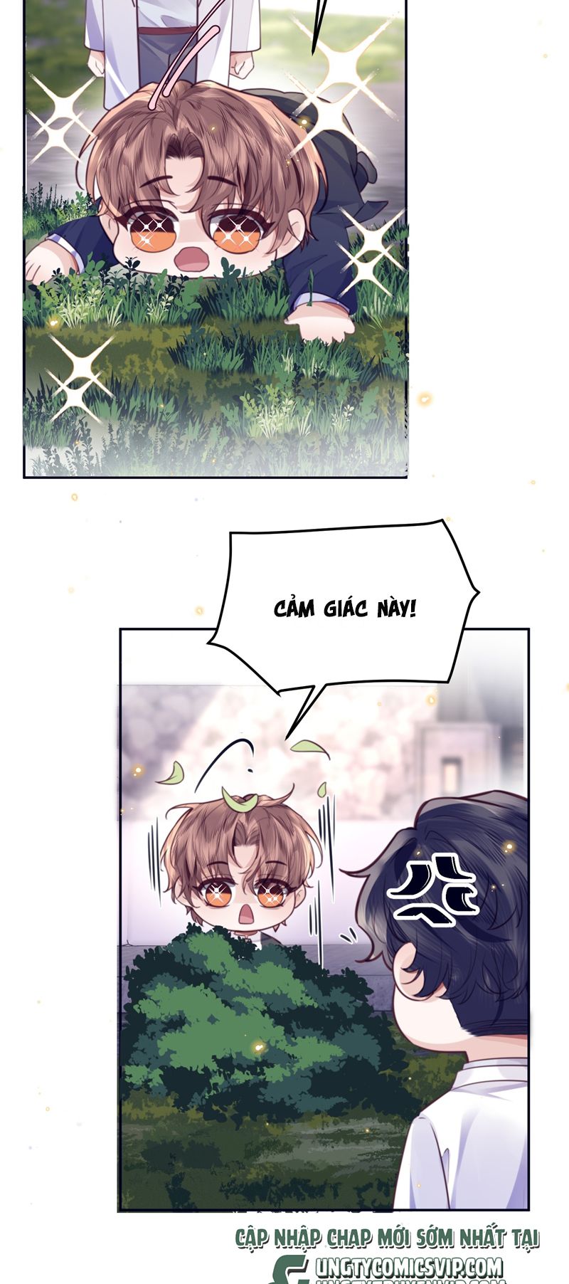 Tổng Tài Định Chế Tư Nhân Chapter 84 - Next Chapter 85