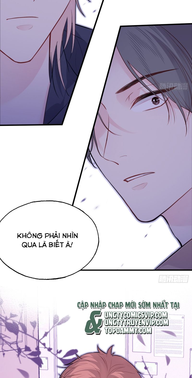 Anh Ấy Chưa Từng Rơi Xuống Chap 58 - Next Chap 59