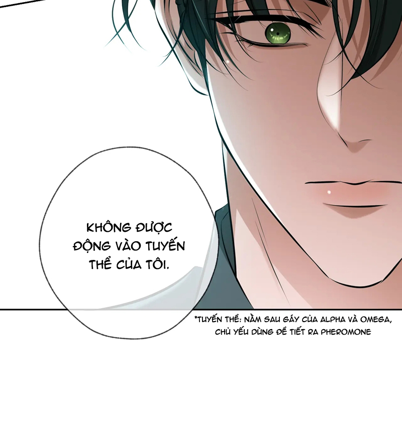 Đêm Tình Yêu Và Sát Ý Chap 10 - Trang 4