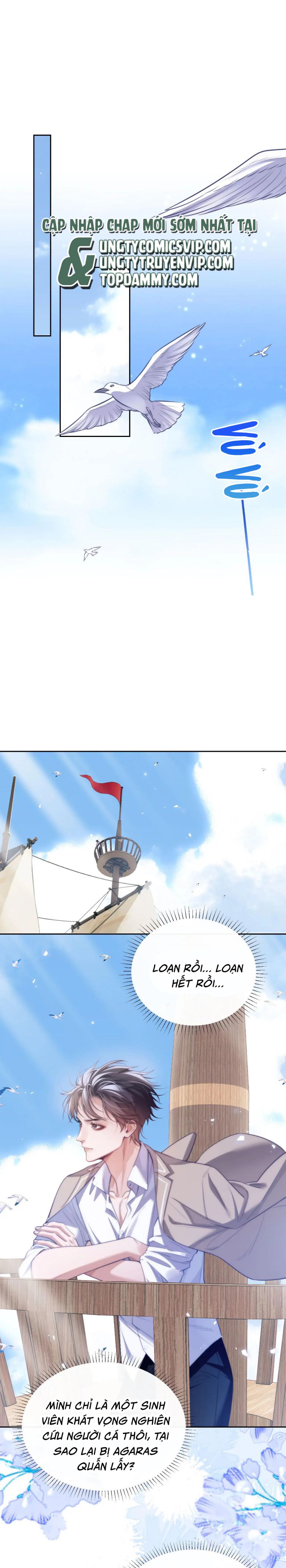 Desharow Nhân Ngư Chapter 39 - Next Chapter 40