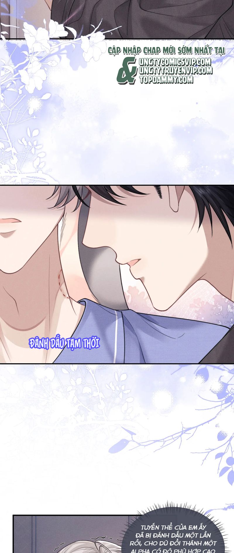 Chấp Sự Thỏ Cụp Tai Chapter 94 - Next Chapter 95