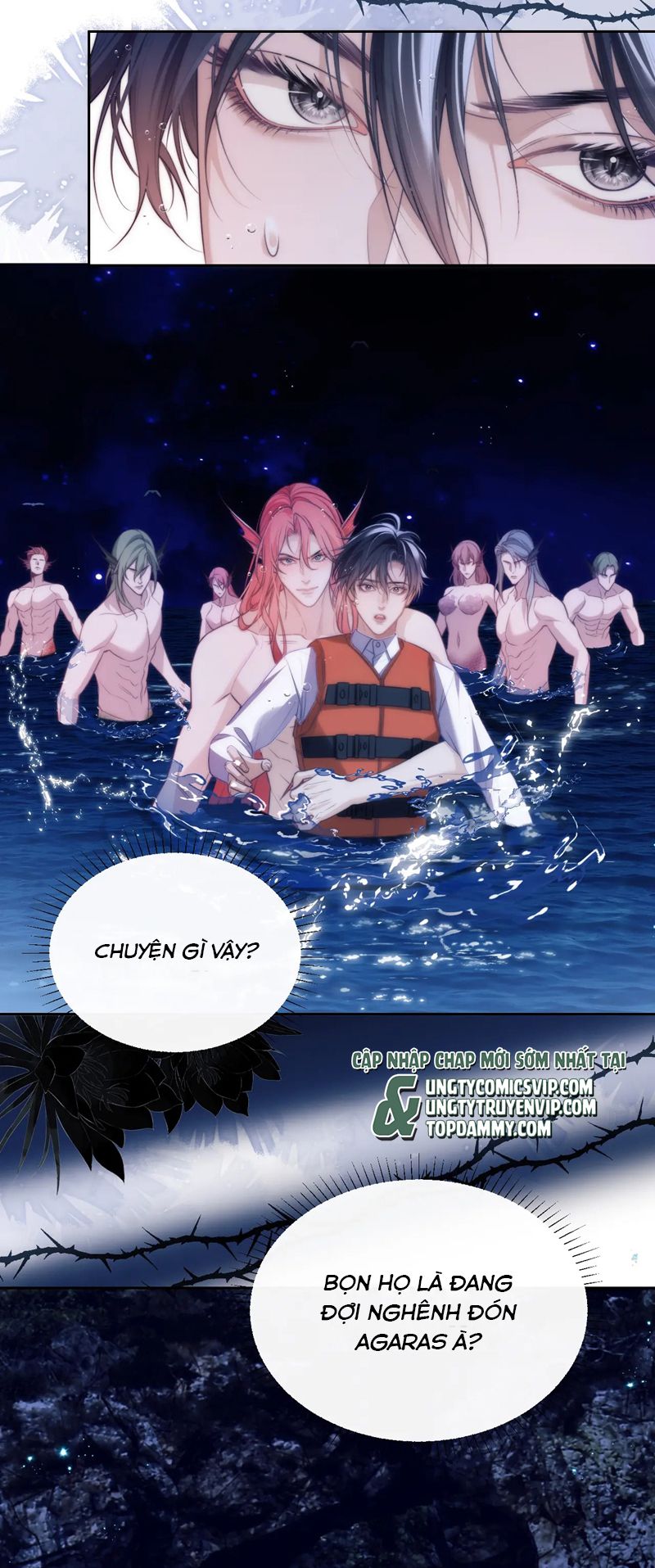 Desharow Nhân Ngư Chapter 41 - Next Chapter 42