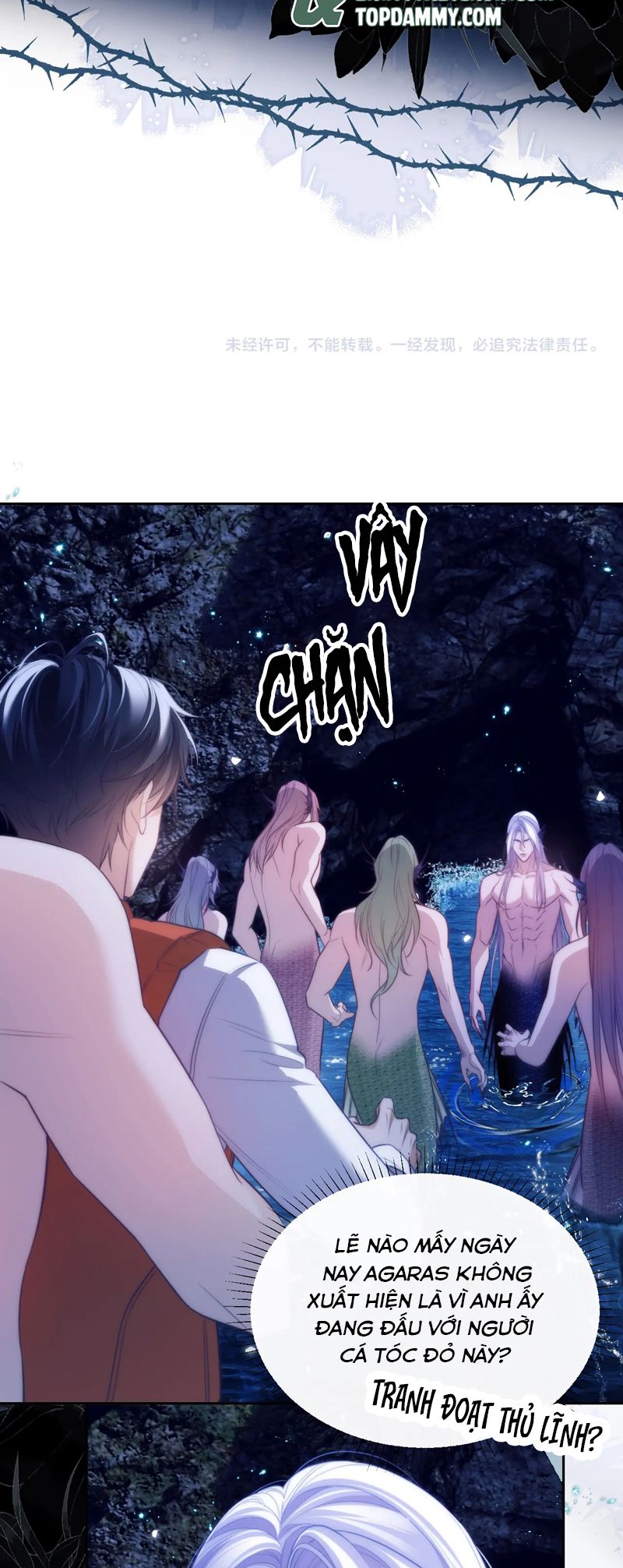 Desharow Nhân Ngư Chapter 41 - Next Chapter 42