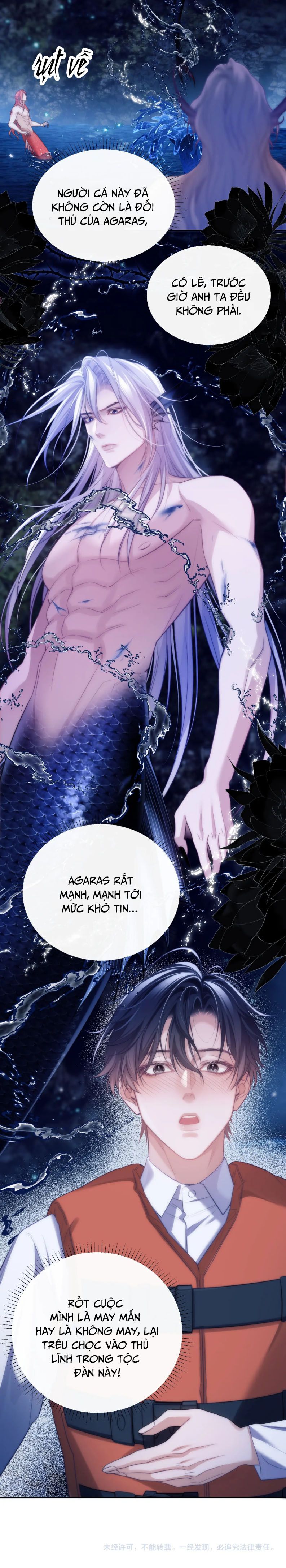 Desharow Nhân Ngư Chapter 42 - Next Chapter 43