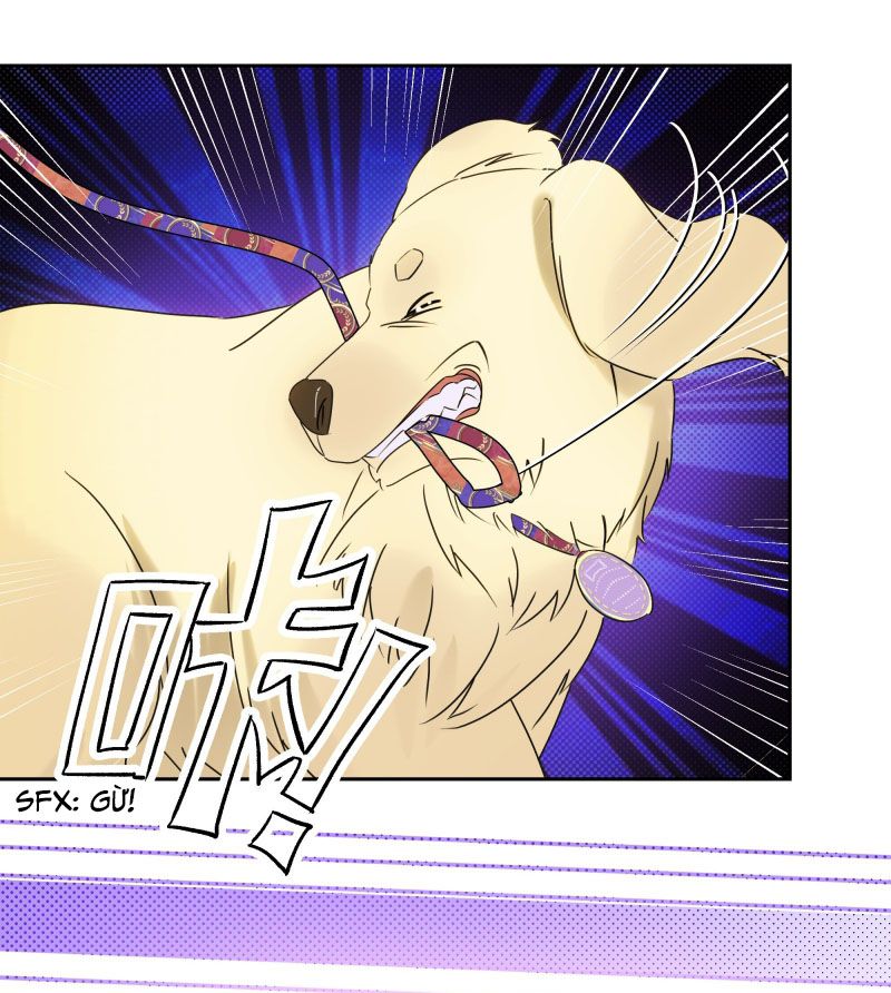 Anh Trai Tiện Lợi Của Tôi Chap 22 - Next Chap 23