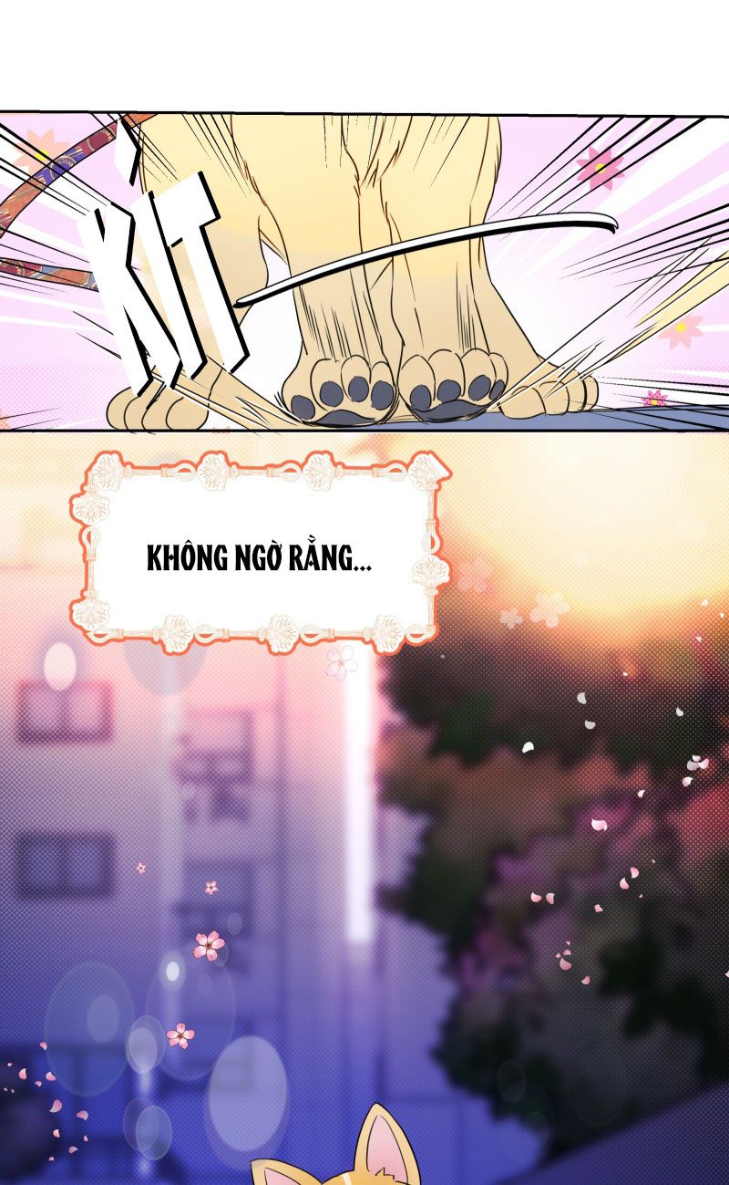 Anh Trai Tiện Lợi Của Tôi Chap 22 - Next Chap 23