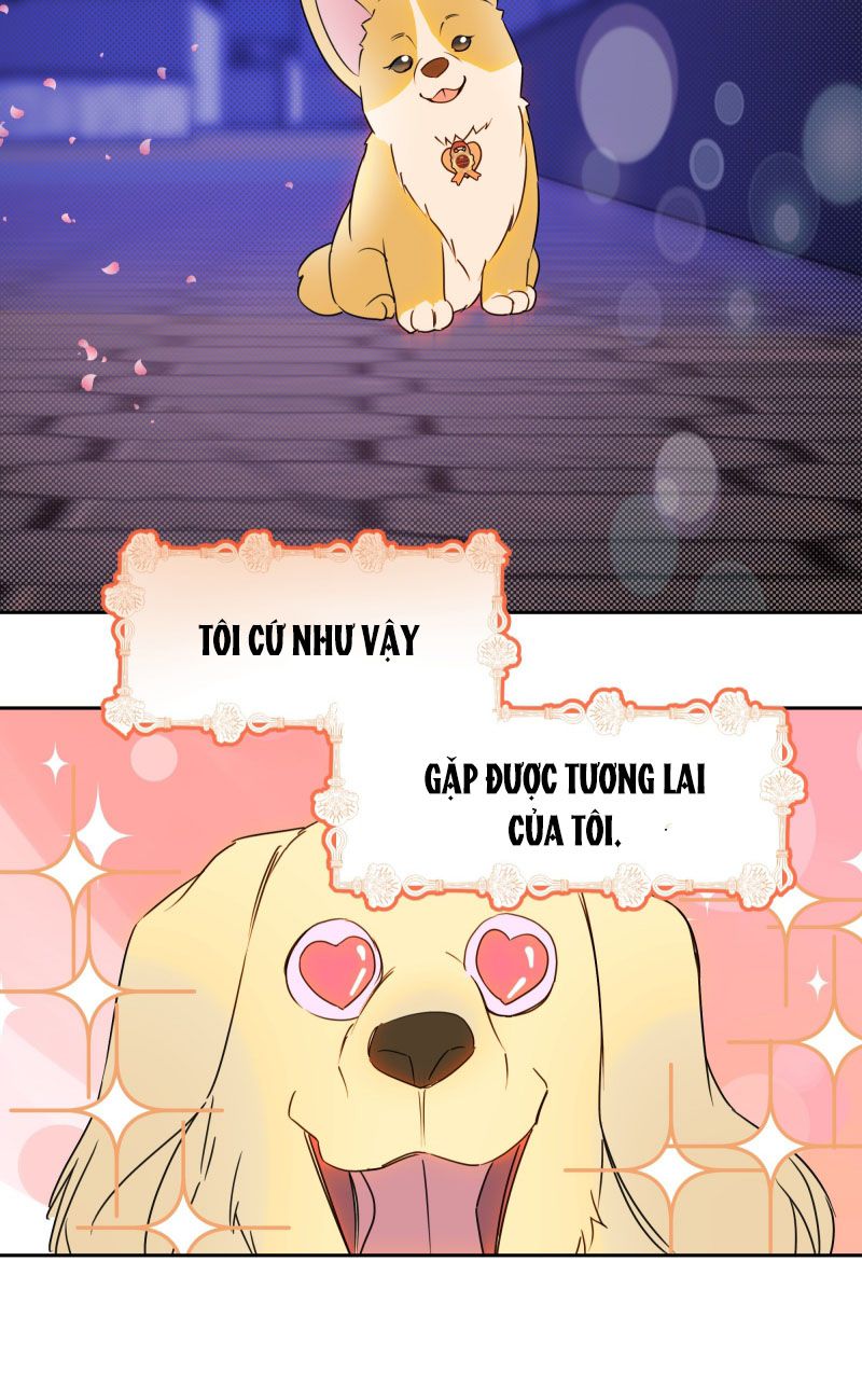 Anh Trai Tiện Lợi Của Tôi Chap 22 - Next Chap 23