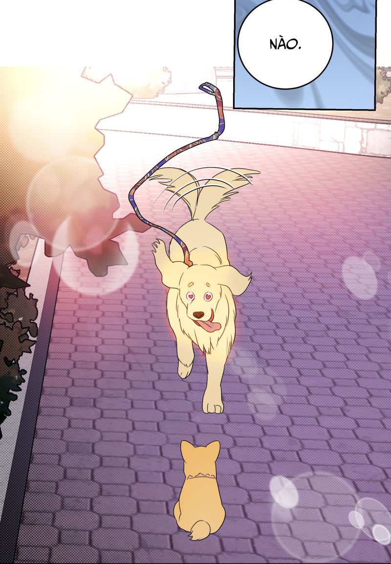 Anh Trai Tiện Lợi Của Tôi Chap 22 - Next Chap 23