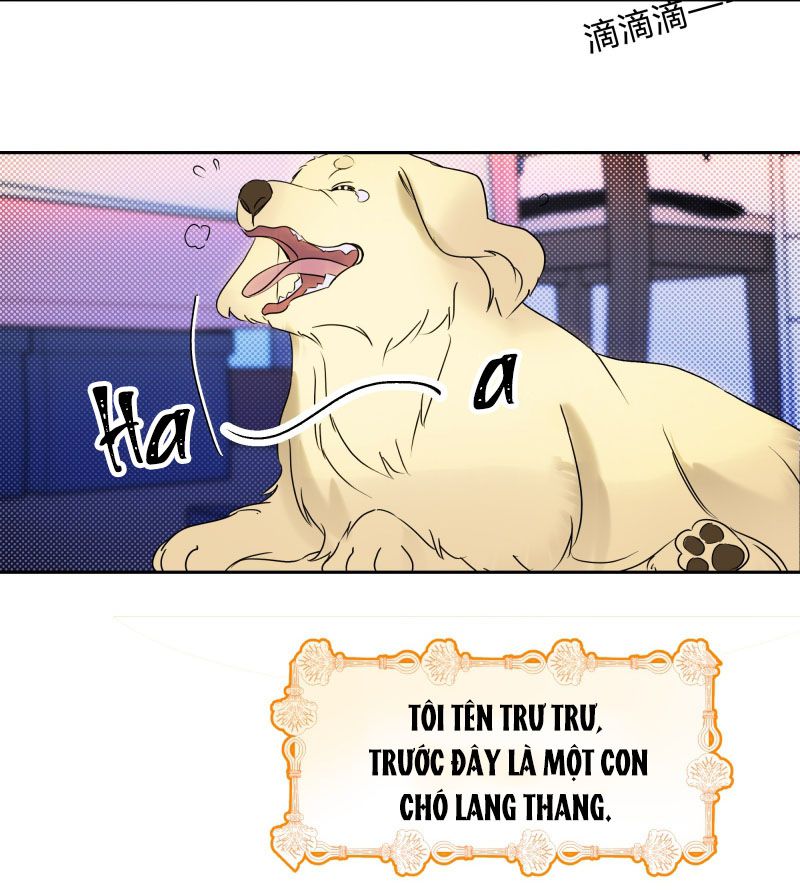 Anh Trai Tiện Lợi Của Tôi Chap 22 - Next Chap 23