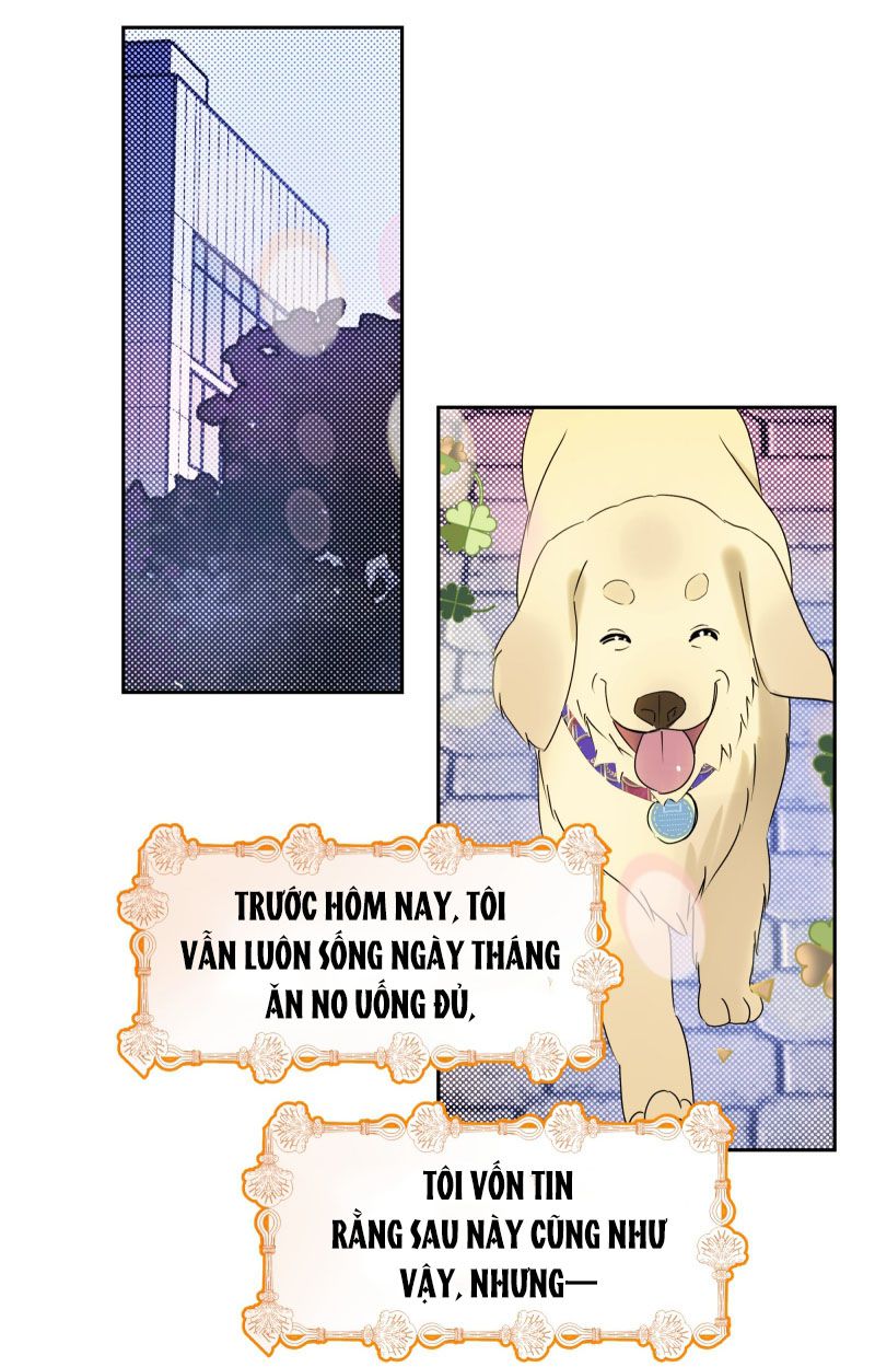 Anh Trai Tiện Lợi Của Tôi Chap 22 - Next Chap 23