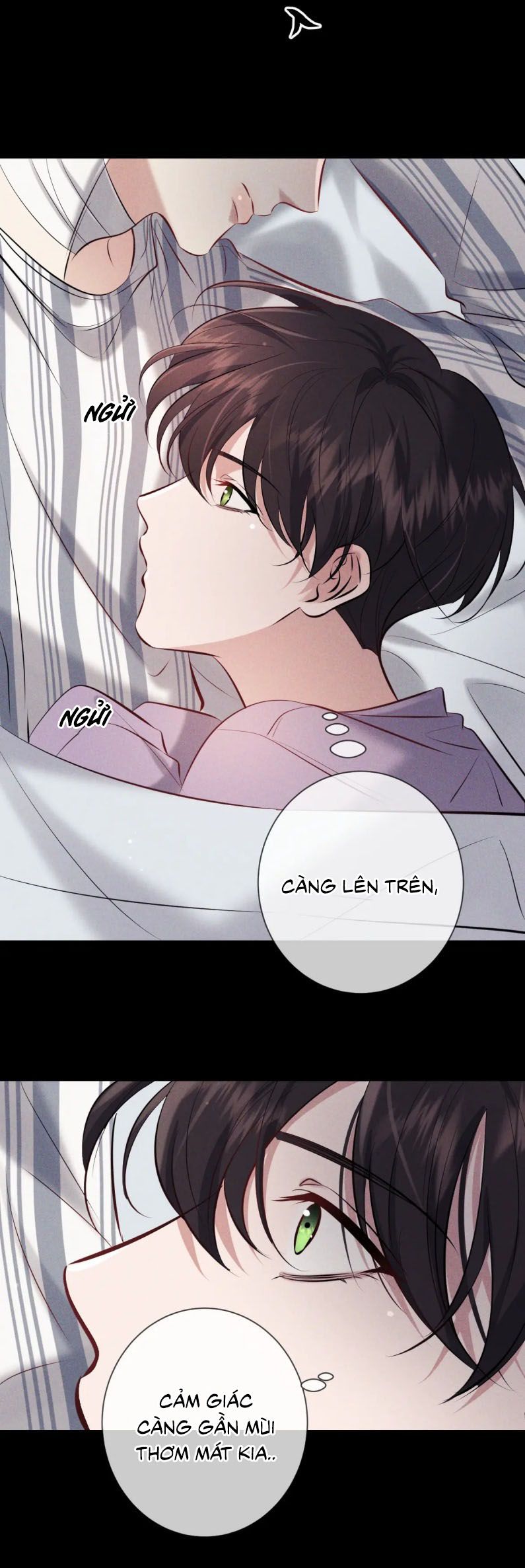 Đêm Tình Yêu Và Sát Ý Chapter 14 - Next Chap 14