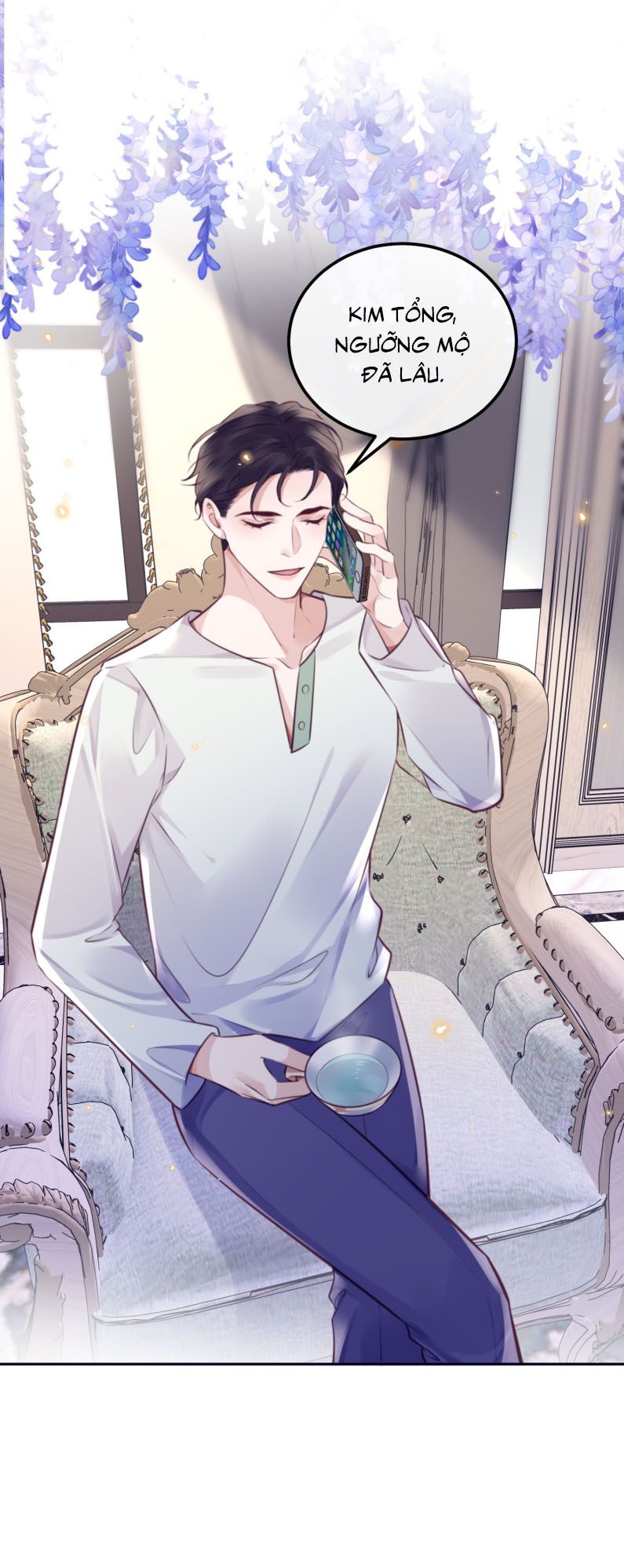 Tổng Tài Định Chế Tư Nhân Chapter 91 - Next Chapter 92
