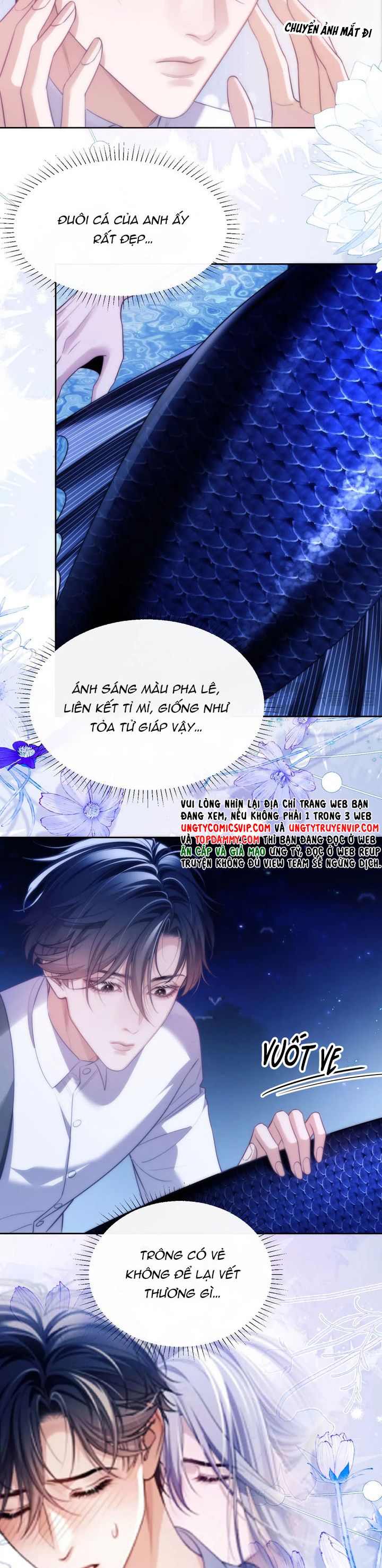 Desharow Nhân Ngư Chapter 44 - Next Chapter 45
